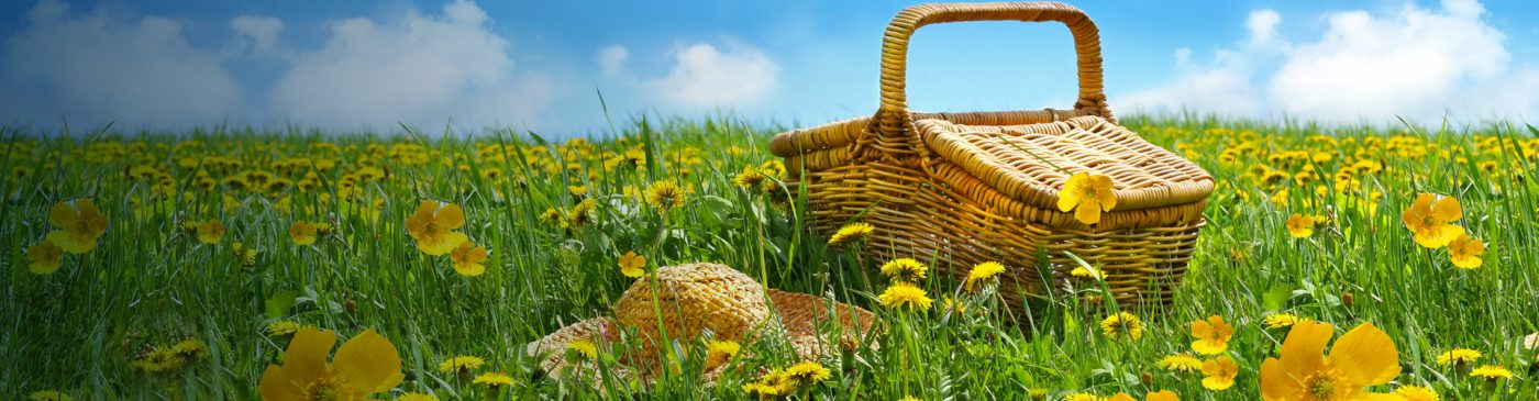 Scadenze fiscali aprile 2019