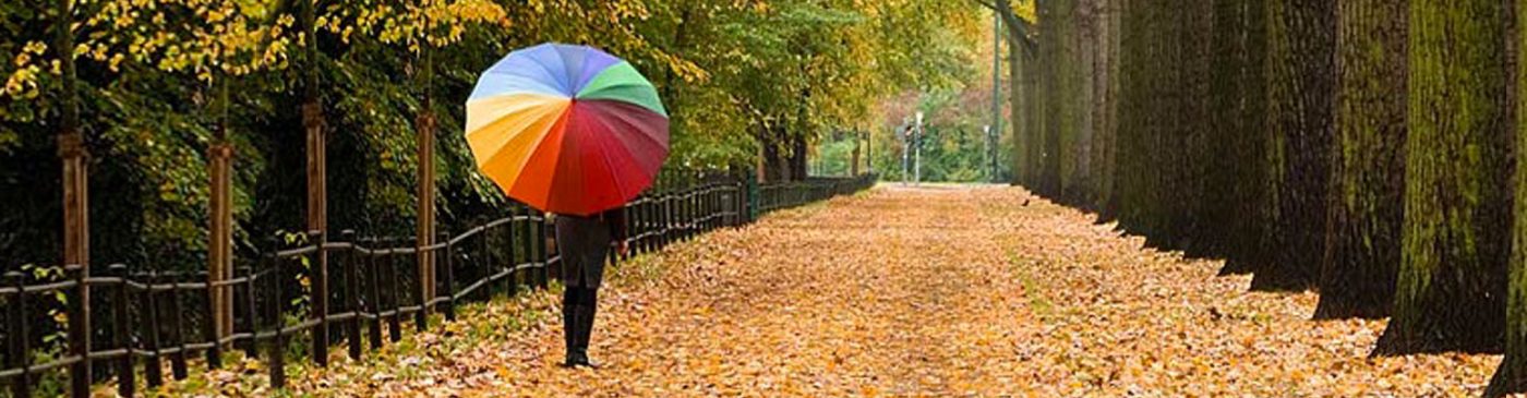 Scadenze fiscali novembre