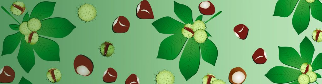 scadenze fiscali ottobre 2022