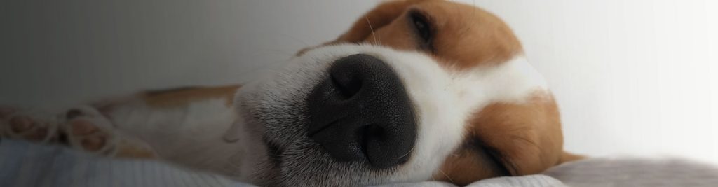 Scadenze fiscali aprile