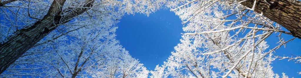 le scadenze fiscali di febbraio 2021