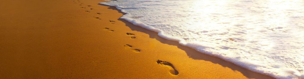 Scadenze fiscali luglio 2019