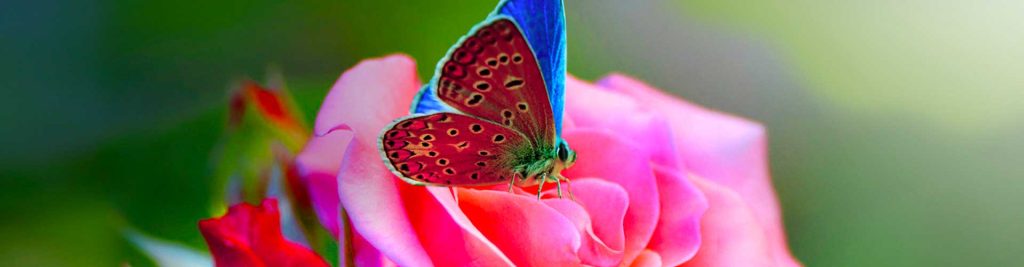 Scadenze fiscali maggio 2018