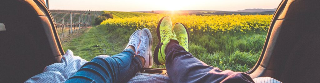 Scadenze fiscali di marzo 2019