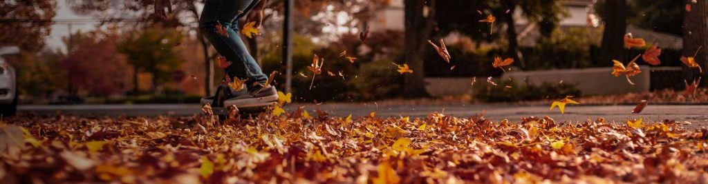 Qui le scadenze fiscali di Novembre 2019