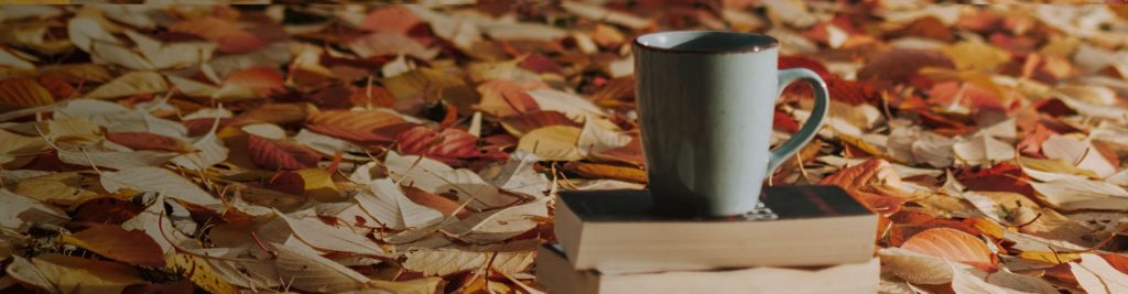 scadenze fiscali novembre 2020