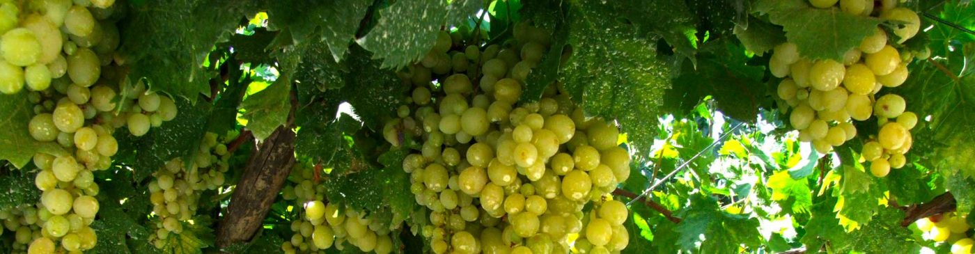 le scadenze fiscali per il mese di settembre 2021