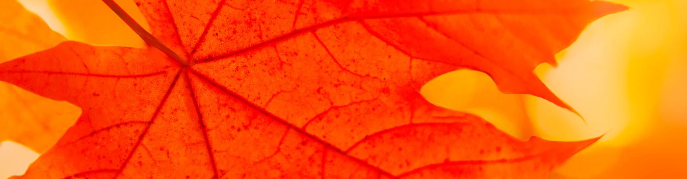 scadenze fiscali in agenda per ottobre 2021