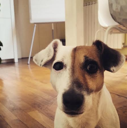 Schermata 02-2457060 alle 09.23.11