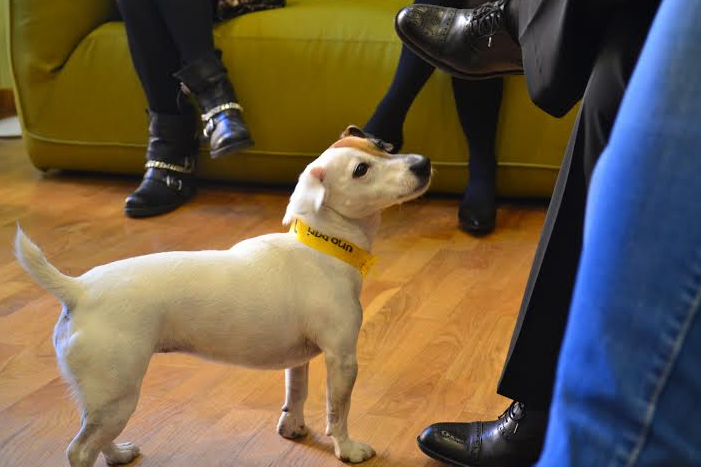 Schermata 11-2457340 alle 16.25.17