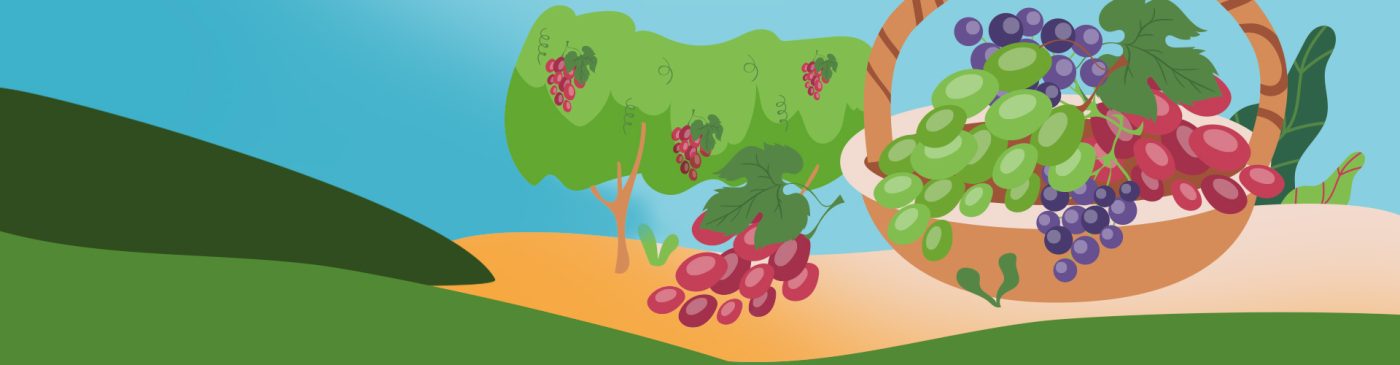 Scadenze fiscali settembre 2022